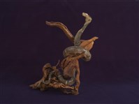 藏品(眼鏡蛇)的圖片